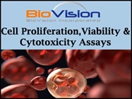 Analyze Cell Proliferation, Viability & Cytotoxicity with BioVision Assays
