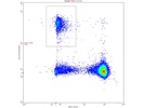Very Clear, Distinct CD193+ Population