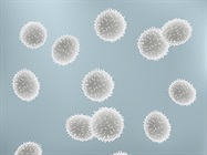 Scientific Community Unites to Tackle Coronavirus Outbreak