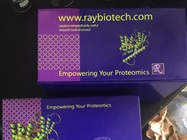 A Great Raybiotech ELISA Kit for Human IGF-1