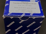 Effectene Can Be a Great Alternative to Other Transfection Reagents
