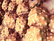 Validating Proteomic Biomarkers