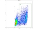 Excellent Way to Detect Apoptosis, Easier than Annexin V