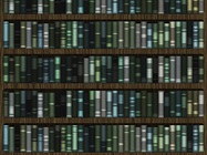 Progress in Library Prep