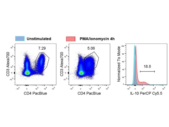 Not Very Bright but Fair AntiIL10 PerCP Cy5.5 Antibody