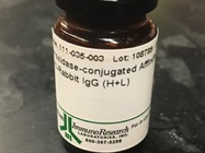 Good Quality Anti-Rabbit Secondary Antibody