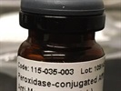 Good Quality Anti-Mouse Secondary Antibody