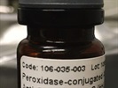 Good Quality Anti-Guinea Secondary Antibody