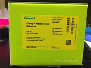 Sensitive and Stable ECL Substrate from Bio-Rad
