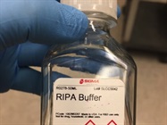 Good RIPA Buffer