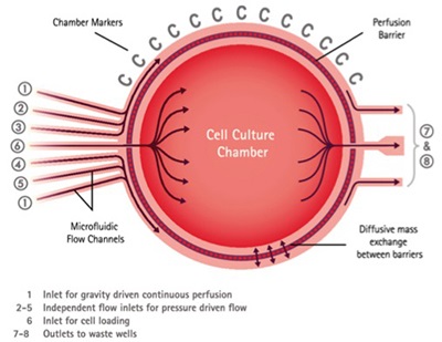  Improve Your Live Cell Imaging with Microfluidics Technology