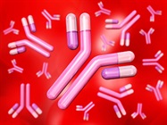 Epitope Binning Streamlines Discovery, Exploits Diversity