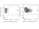 Detection of Intracellular Mouse IL-4