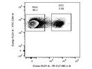 Detection of OT2 T Cells