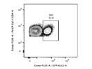 Detection of Transferred 2D2 T cells