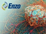 Fighting Cancer with Research starts with Enzo