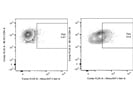 Detection of Intranuclear T-bet in T Cells