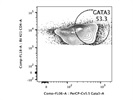 Detection of GATA3 High T Cells