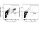 Detection of CD45+ Cells in Mouse Tissues