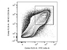 Detection of Neutrophils with Ly-6G FITC