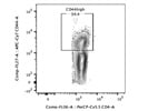 Detection of CD44 High T Cells in Mouse Tissues
