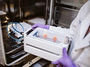 Luxury Accommodations for Cells