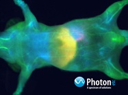 Visualize your biomarkers in vivo and in real-time with optimized contrast resolution and sensitivity