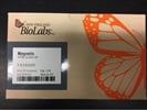 Very Convenient Kit for Poly(A)+ RNA Isolation