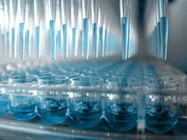[ebook] Phenotypic Screening Advances