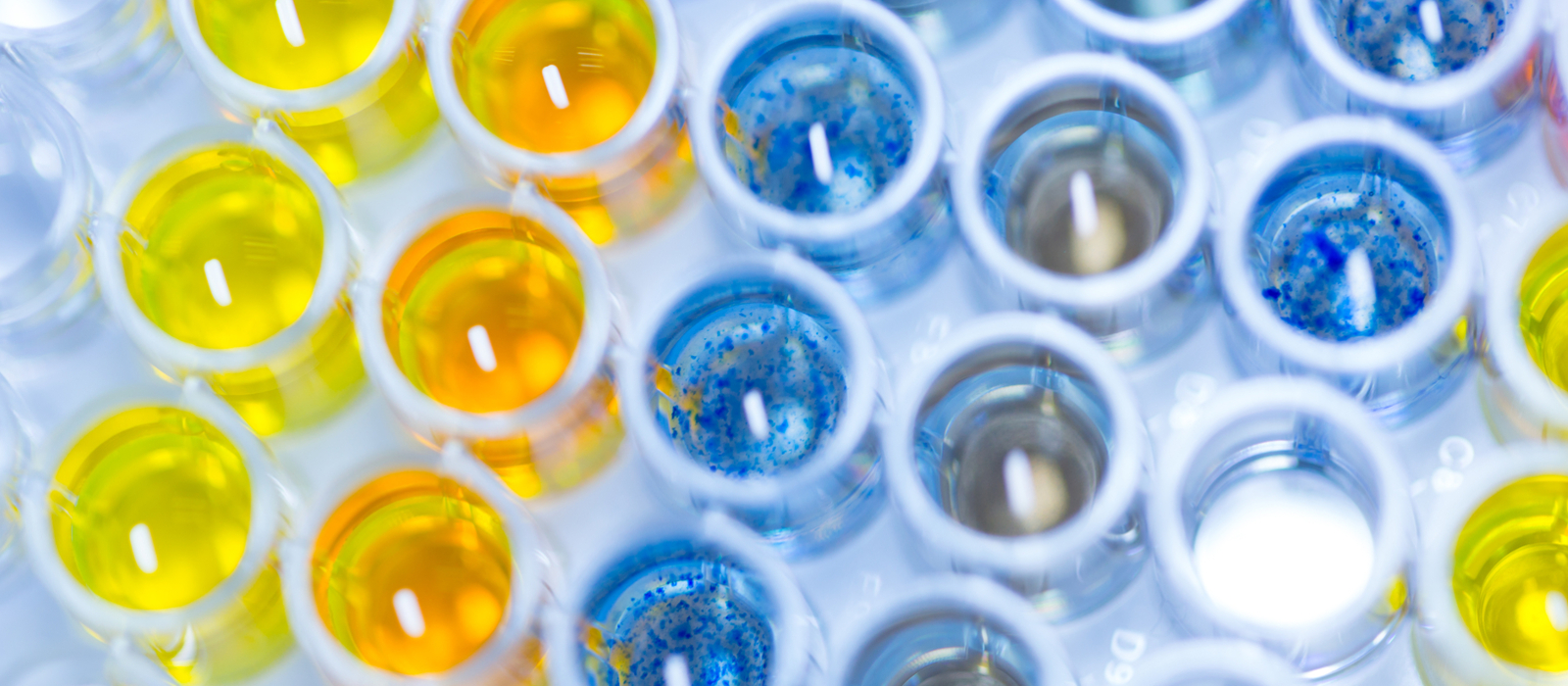  Finding the Perfect Pipette