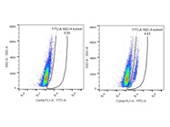 Santa Cruz Caspase-1 Antibody Works well!