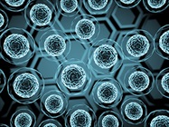 More Relevant Cell Models Propelling Research Forward