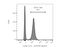 BioLegend CD19 Antibody: Bright Color but Some Overlap with PE