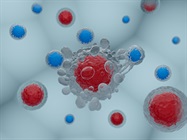 Supporting CAR-T Development