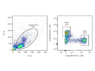 Wonderful Anti-Human CD8 Antibody