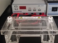 Mini Power Supply from CBS Scientific