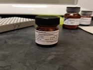 Best DNase 1 for Tissue Lysis and Cell Culture