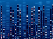 Reducing Costs in Genomics
