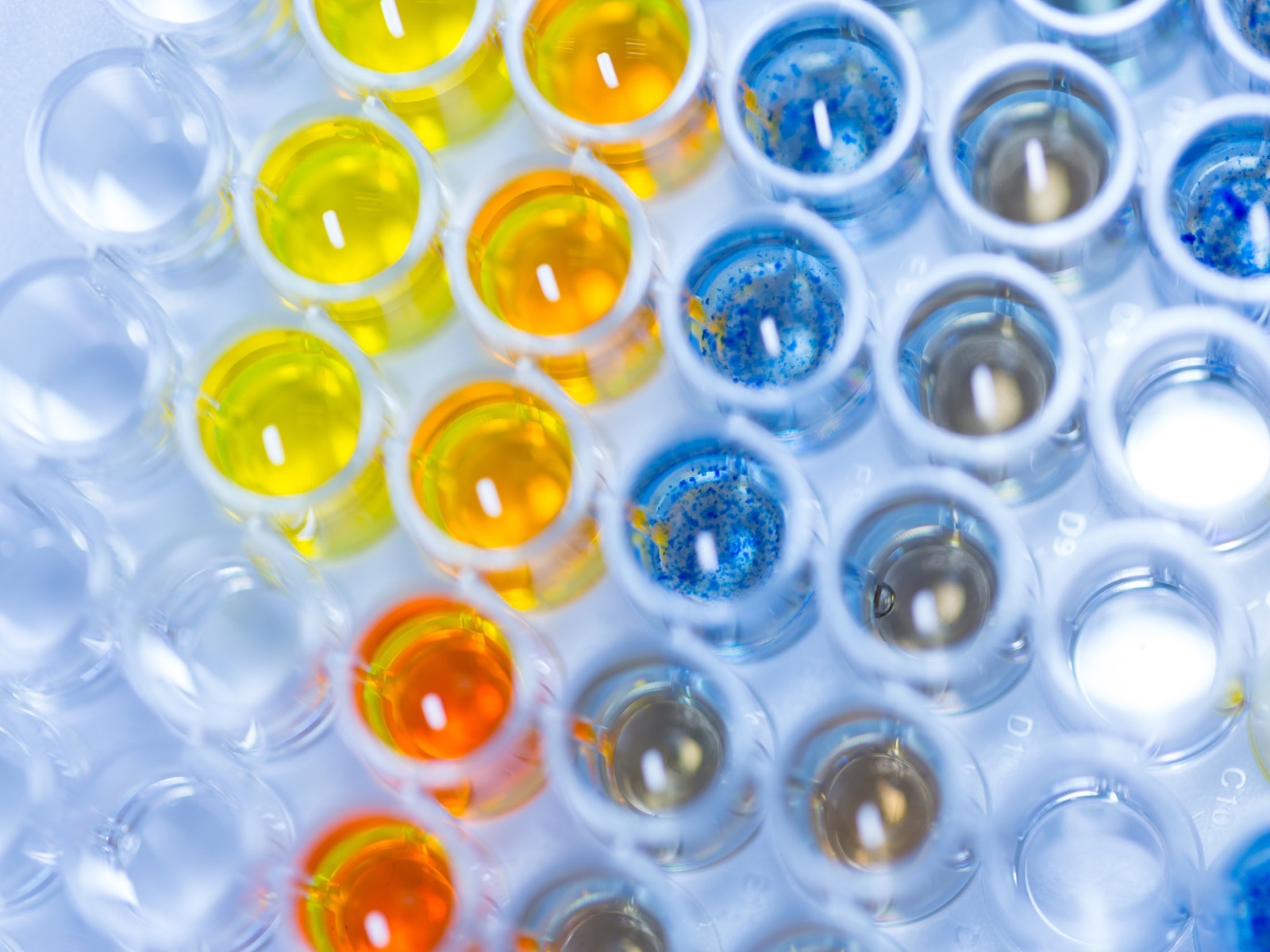  Advanta IO Gene Expression Assay