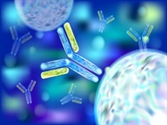 15% off RayBio Antibodies