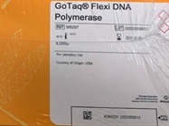 Go Flexi Taq DNA Polymerase for Gene Amplification