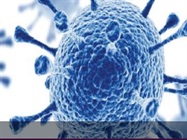 Explore More Effective Viral CPE Assays for Virology and Vaccine Research