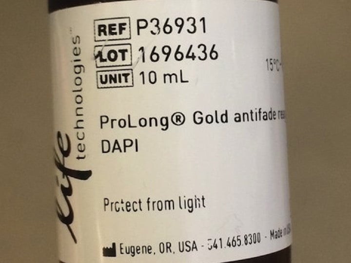 PreMade Mounting Media for Immunofluorescence Kit/Reagent Review