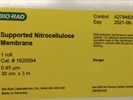 Nitrocellulose for Western Blotting