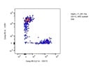 PE/Cy7 Anti-Mouse CD172a (SIRPa) Antibody
