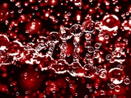 Automating NGS Sample Prep