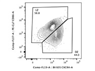 CXCR4 Antibody for Detection of Dark Zone B Cells