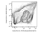 Detection of SiglecF+ Cells in Mice