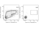 Detection of Mouse Germinal Center B Cells