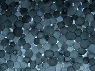 Live-Cell Analysis within Incubators